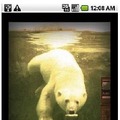 「Polaroid PoGo App」カラー選択画面
