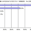 誰にお年玉をあげる予定ですか（複数回答）