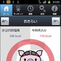 iPhone／Androidアプリ「カロリーメイド」