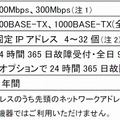 「auひかり ビジネス」インターネット接続の提供条件