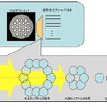 今回用いた結合装置の概要（イメージ図）