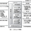 図3　LIBEaidの概要