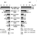 読む本の選び方