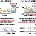 バッチ（一括）方式とインクリメンタル（順次）方式の課題