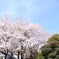 山手80番館遺跡