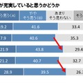 家の中が充実していると思うかどうか