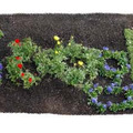 Googleの花が咲く！ 22日のGoogleトップロゴは「アースデイ」