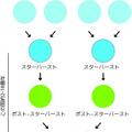 アープ220の力学的進化をまとめた図