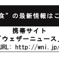 情報チャンネルの詳細