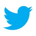 Twitterがロゴを変更、小鳥の顔が前向きから上向きへ 画像