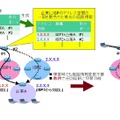 HANAの概念と障害時の経路切替え