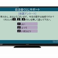 高齢者宅：「体調アンケート」（イメージ）