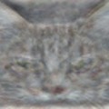 Googleが発表した猫の画像