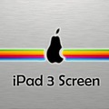 iPad 3 Screen