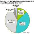 あなたは『エコカー減税・補助金対象』が適用される期間に対象となるクルマを購入したいと思いますか？