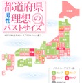 都道府県別男性の理想のバストサイズ