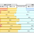 SNSごとの利用満足度