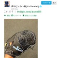 ダルビッシュは13勝目を挙げた直後のツイートで北海道が刺繍されたグローブの写真を公開した