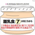 乳児用食品の表示基準　表示例