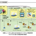 実証事業の概要