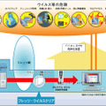 サービスの概要図