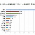 子どもにさせたい仮装