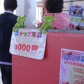 記念撮影した写真は一枚1000円。ひとりでは少々高い。