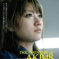 ポスター　(c) 2013「DOCUMENTARY of AKB48」製作委員会