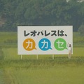 巨大看板の前で手を振る堀北