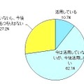 Q：就職活動時にブログやクチコミ掲示板、また、Twitter・フェイスブックなどのソーシャル・ネットワーキング・サービス（SNS）を活用していますか（活用する予定ですか）？（SA）