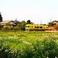 いすみ鉄道