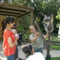 ケアンズの動物園・トロピカルズー