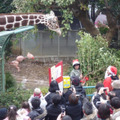 子どもたちに人気の野毛山動物園