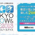 冬のスポーツ博覧会東京「TOKYO SNOW ＆ ICE 2013」（webサイト）