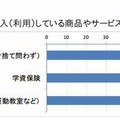 購入している商品やサービス