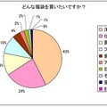 どんな福袋を買いたいですか？