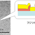 フジツボ構造の走査型電子顕微鏡写真と断面のイメージ