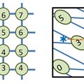 完全準同型暗号の概念図。数字の“1”を暗号化した印（赤い＊）と数字の“3”を暗号化した印（青い＊）を足すことで、新しい印（緑の＊）ができる