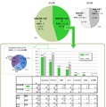 就職活動でのSNS利用率