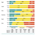 ケータイ端末種類（国別）