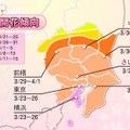 関東地方の2013年桜開花傾向