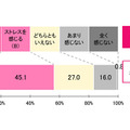 掃除ストレス