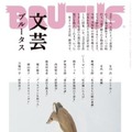 第5回雑誌大賞受賞「ブルータス」