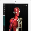 3D人体解剖アプリ、teamLabBody