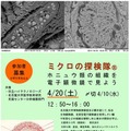 ミクロの探検隊「ホニュウ類の組織を電子顕微鏡で見てみよう」