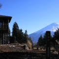 西湖南部から望む富士山