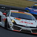 GT300開幕戦3位、ランボルギーニ・ガイヤルド。写真：GTA