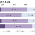 携帯キャリアのネットワーク実感調査