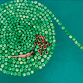 DeadSee / 2005 / Video/11:39 min