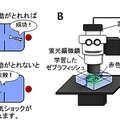 今回考案した回避行動を学習させる仕組み